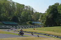 cadwell-park;cadwell-park-photographs;cadwell-trackday-photographs;enduro-digital-images;event-digital-images;eventdigitalimages;peter-wileman-photography;racing-digital-images;trackday-digital-images;trackday-photos